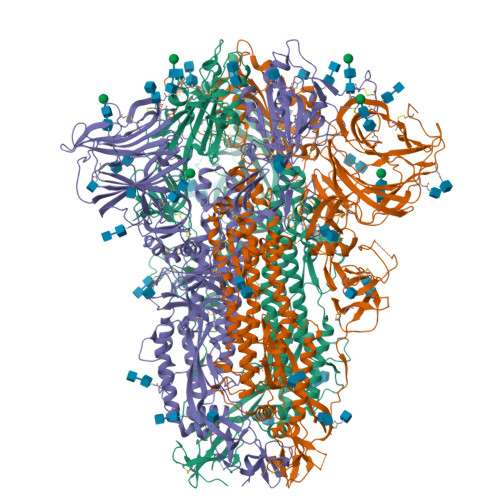 RCSB PDB - 8TC1: Cryo-EM Structure of Spike Glycoprotein from Civet ...