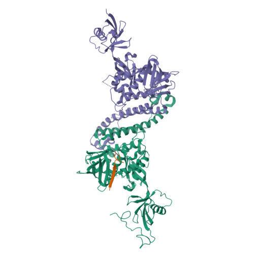 RCSB PDB - 8TEC: Crystal structure of Kindlin2 in complex with acylated ...