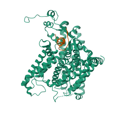 RCSB PDB - 8TEG: Cryo-EM structure of Arabidopsis thaliana Bor1 in ...