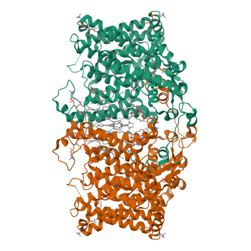 RCSB PDB 8TEI Cryo EM Structure Of Arabidopsis Thaliana Bor1 In