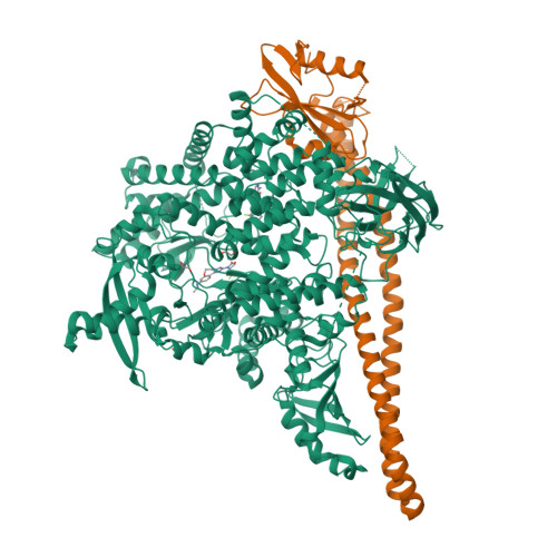 RCSB PDB - 8TGD: STX-478, a Mutant-Selective, Allosteric Inhibitor