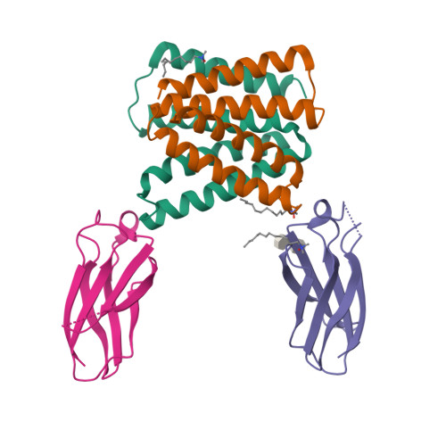 RCSB PDB - 8TGY: Crystal structure of Gdx-Clo from Small