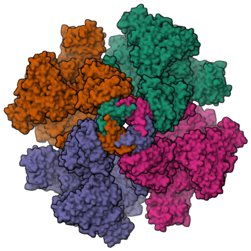 RCSB PDB - 8TKF: Human Type 3 IP3 Receptor - Activated State (+IP3/ATP ...