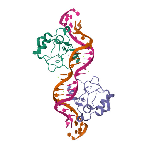 Rcsb pdb 8tle cdca7 mouse binds non b form 36 mer dna oligo sg c2