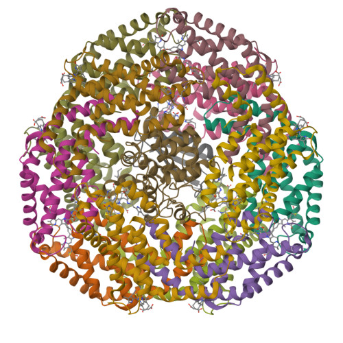 RCSB PDB 8TO5 Central Rod Disk In C1 Symmetry Of High Resolution Phycobilisome Quenched By