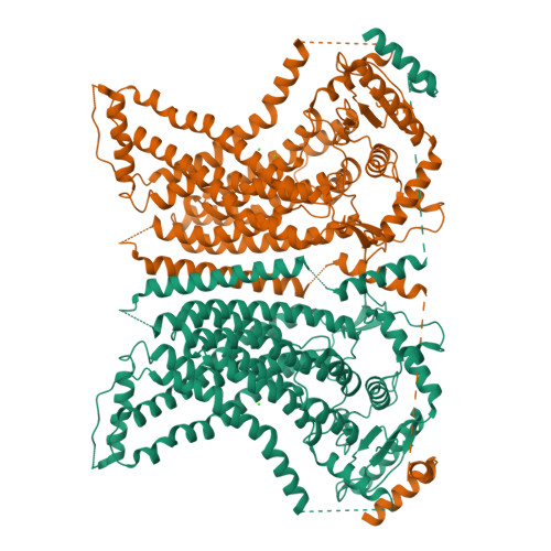 RCSB PDB - 8TOK: nhTMEM16 lipid scramblase in lipid nanodiscs with ...