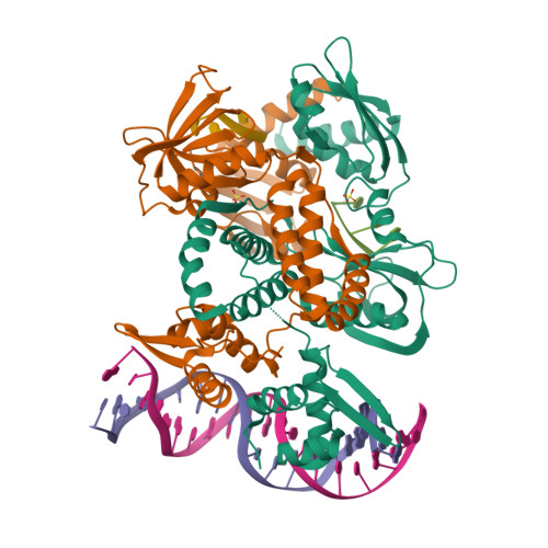 RCSB PDB - 8TP8: Structure of the C. crescentus WYL-activator 