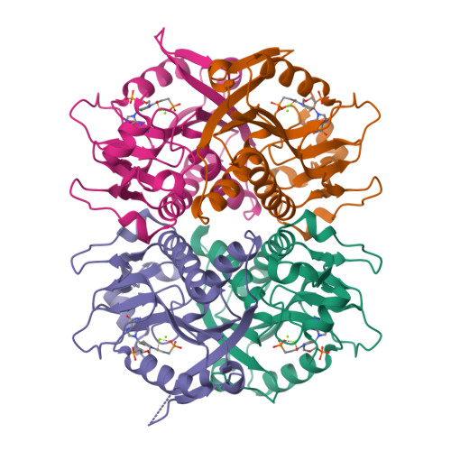 RCSB PDB - 8TPV: Structure Of Human Hypoxanthine Guanine ...