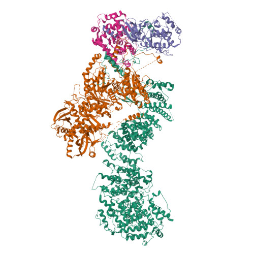 RCSB PDB - 8TQC: Structure of the human CDK8 kinase module