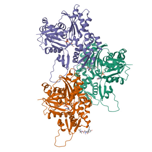 RCSB PDB - 8TRN: Actin 1 from T. gondii in filaments bound to MgADP and ...