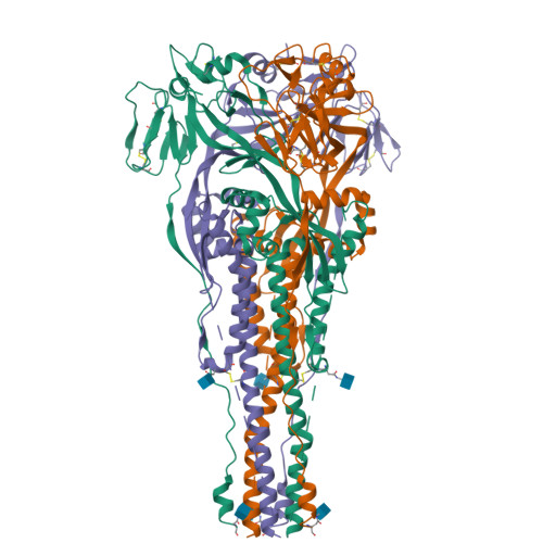 RCSB PDB - 8TVG: Langya henipavirus postfusion F protein in complex ...