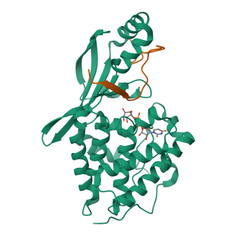 RCSB PDB - 8TWS: AvrB bound with UDP-rhamnose and RIN4 C-NOI motif