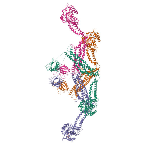 RCSB PDB - 8TYM: Cryo-EM of the GDP-bound human dynamin (full-length ...