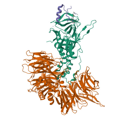 d*a様 Distinction I II III Ⅳ V structures d*a様 Distinction I II III Ⅳ V structures Unit cells of L1 2 -