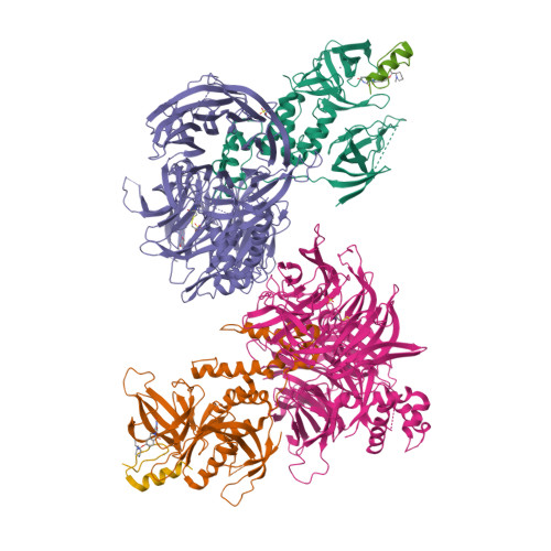 Distinction I〜Ⅳ、Structures 1,4,8,11-Tetrathiacyclotetradecane | CAS 24194-61-4 | SCBT