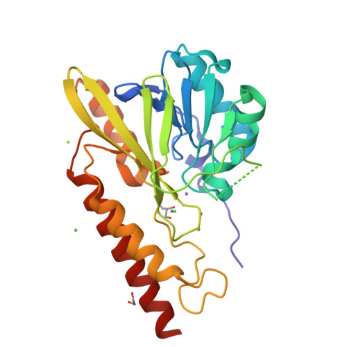 RCSB PDB - 8U00: Crystal structure of metallo-beta-lactamase ...