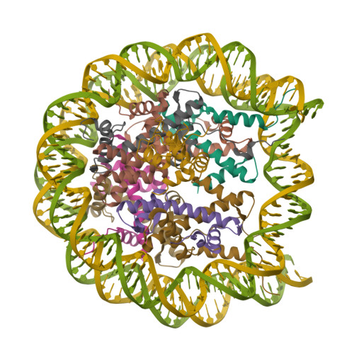 RCSB PDB - 8U13: Cryo-EM structure of the human nucleosome core ...