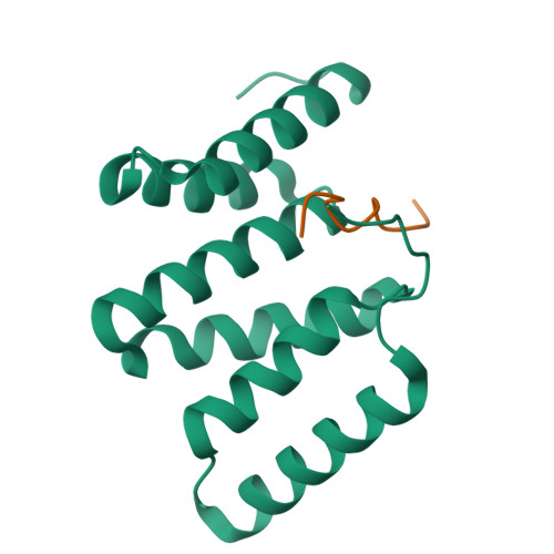 RCSB PDB - 8U1Z: Crystal structure of the Fis1 cytosolic domain bound ...