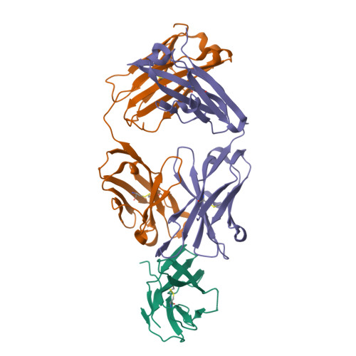 RCSB PDB - 8U32: Crystal structure of PD-1 in complex with a Fab