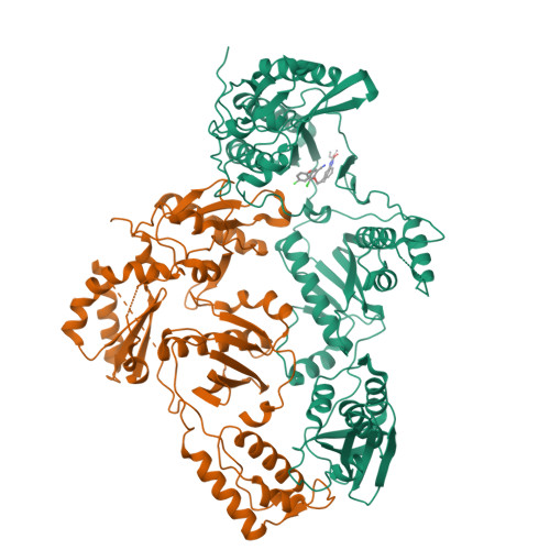 RCSB PDB - 8U6A: Crystal Structure Of HIV-1 Reverse Transcriptase In ...