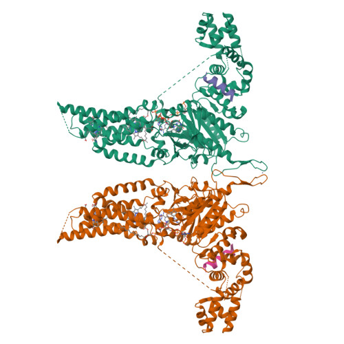 RCSB PDB - 8U85: Structural Basis of Human NOX5 Activation