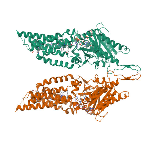 RCSB PDB - 8U86: Structural Basis of Human NOX5 Activation