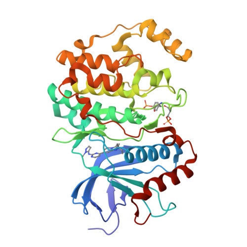 RCSB PDB - 8U8J: Co-crystal structure of phosphorylated ERK2 in