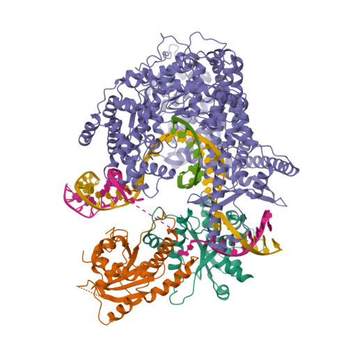 RCSB PDB - 8U8U: Cryo-EM Structure of Cognate Substrate ATP