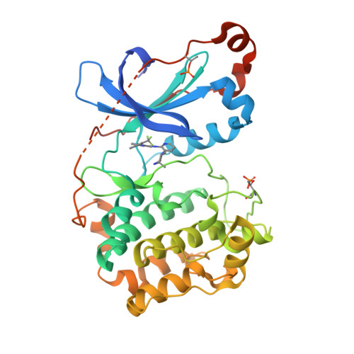 RCSB PDB - 8UAK: Crystal structure of the catalytic domain of human PKC ...