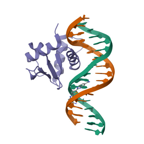 RCSB PDB - 8UFZ: Human PU.1 ETS-Domain (165-270) Bound to d ...