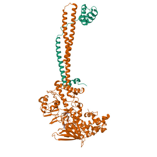 RCSB PDB - 8UMQ: LSD1-CoREST in complex with T18, long soaking