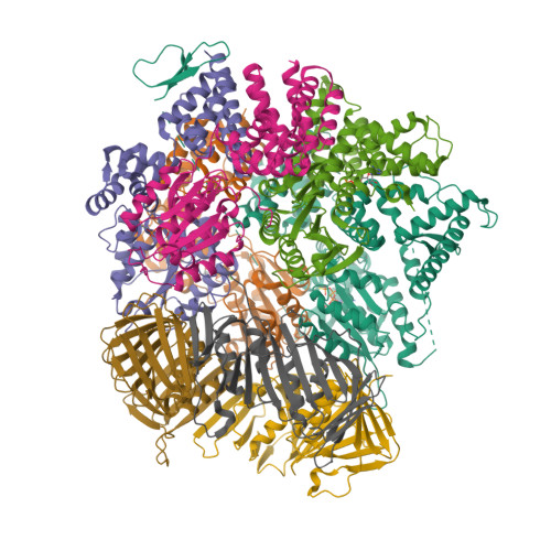 RCSB PDB - 8UMU: Atomic model of the human CTF18-RFC-PCNA binary ...