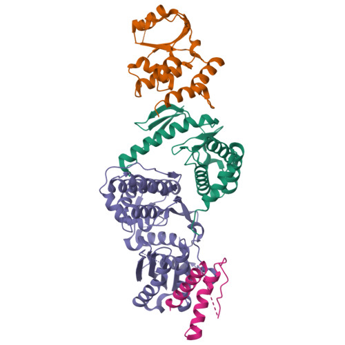 RCSB PDB - 8UNK: Structure of the KEOPS complex (Cgi121/Bud32/Kae1/Pcc1)