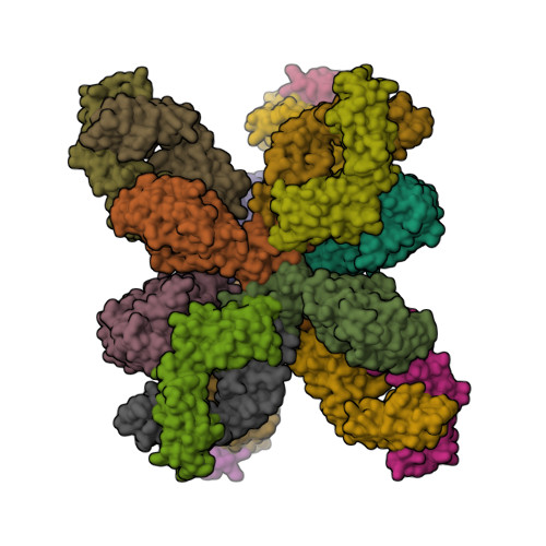 A protective and broadly binding antibody class engages the influenza virus hemagglutinin head at its stem interface.