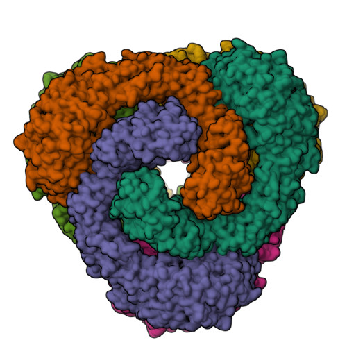 Usp Structure RCSB PDB - 8USP: Structural and biochemical investigations of a HEAT ...