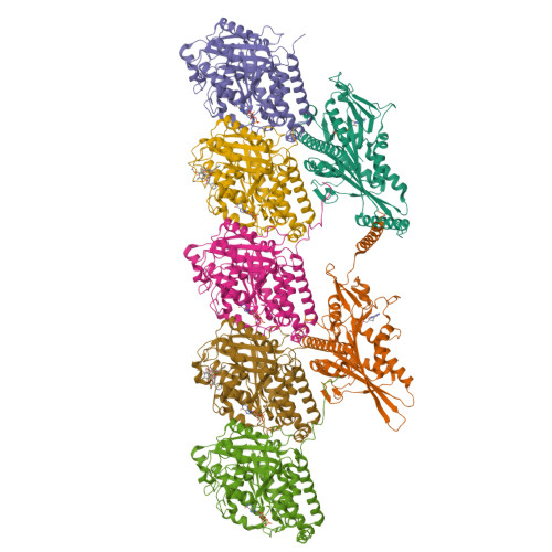RCSB PDB - 8UTP: KIF1A[1-393] - AMP-PNP two-heads-bound state in ...