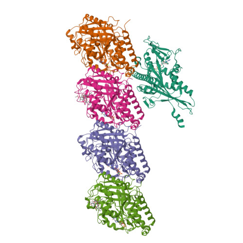 RCSB PDB - 8UTQ: KIF1A[1-393] AMP-PNP bound one-head-bound state in ...