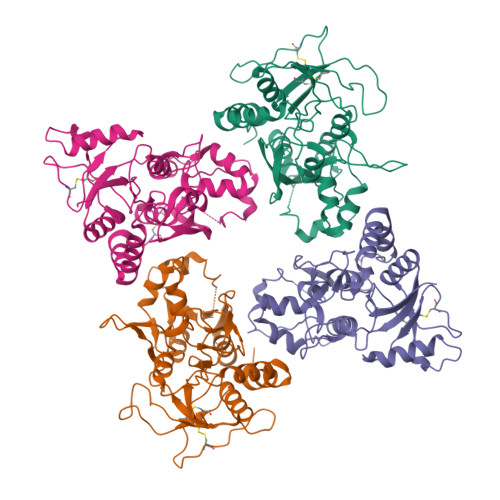 RCSB PDB - 8UUE: Glycine-bound GluN1a-3A LBD heterotetramer (local ...