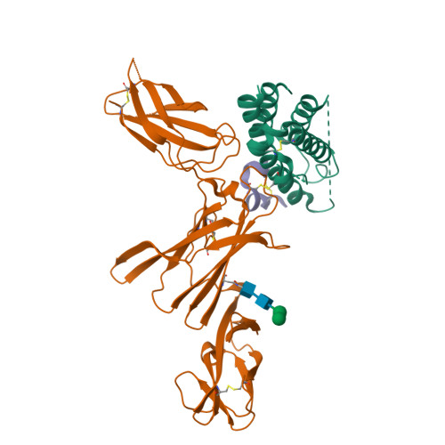 RCSB PDB - 8UUI: X-ray structure of Interleukin-23 in complex with