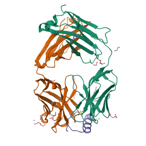 Molecular characterization of a synthetic neutralizing antibody targeting p67 of Theileria parva.