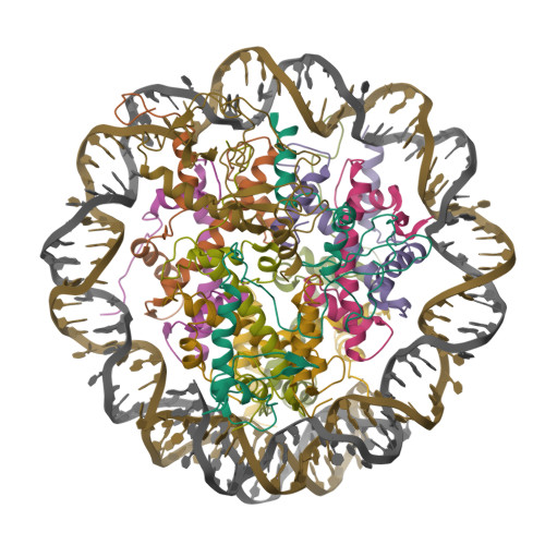 RCSB PDB - 8UXQ: Structure of Heterochromatin Protein 1 (HP1