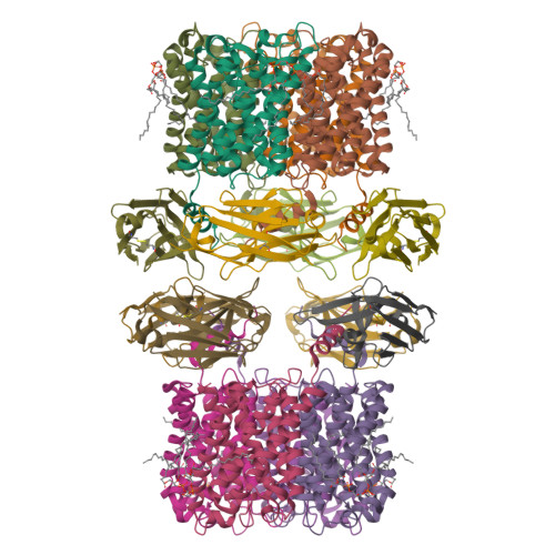 RCSB PDB - 8UY6: Aquaporin Z with ALFA tag and bound to nanobody