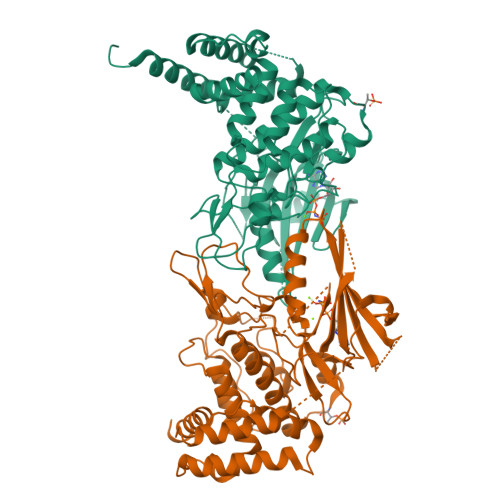 RCSB PDB - 8UYH: Structure of AMP-PNP-bound Pediculus humanus (Ph