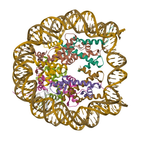 RCSB PDB - 8V28: H2BK120ub-modified nucleosome ubiquitin position 4