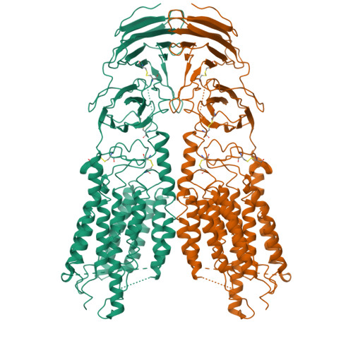 RCSB PDB - 8V38: Structure of the human systemic RNAi defective ...