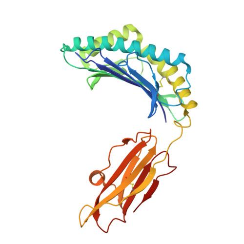 RCSB PDB 8V4Z Crystal Structure Of A HLA B 35 01 NP7 With D1 TCR