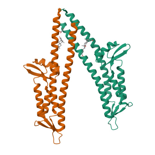 Q148 Genotype Example RCSB PDB - 8V5E: IpaD (122-321) Pi-helix Mutant (delta Q148) Bound to ...