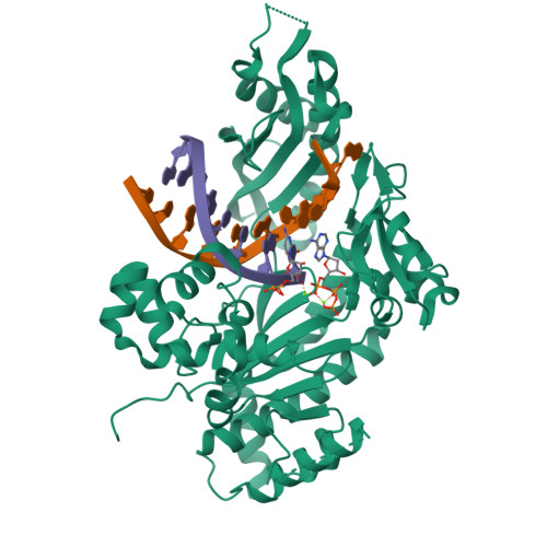 RCSB PDB - 8V7I: Human DNA polymerase eta-DNA-araC-ended primer ternary ...