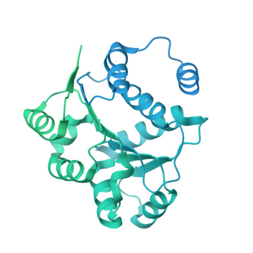 RCSB PDB - 8V85: 60S ribosome biogenesis intermediate (Dbp10 catalytic ...