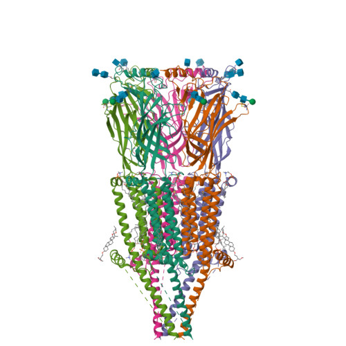 RCSB PDB - 8V86: Alpha7-nicotinic acetylcholine receptor bound to
